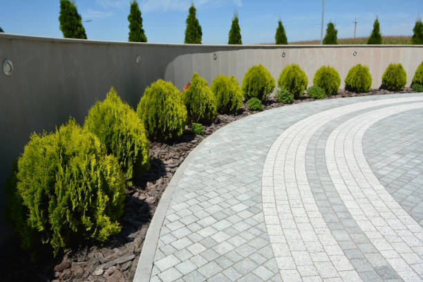 Best Permeable Paver Driveway  in Lamont, MI